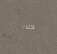 Линолеум Forbo Marmoleum Decibel on Order 370535 meteorite фото 1 | FLOORDEALER